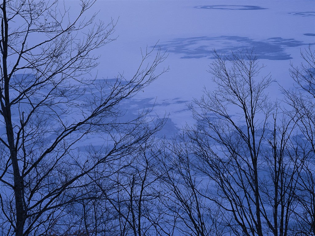 白雪森林(一) #6 - 1024x768