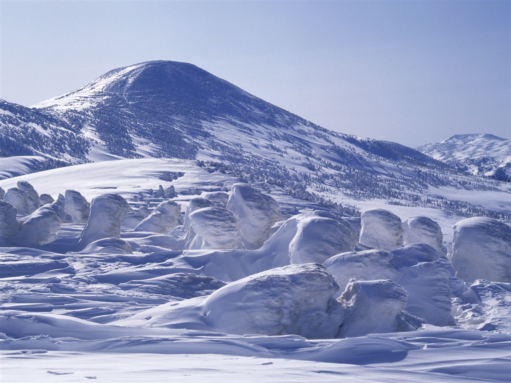 Snow forest wallpaper (2) #15 - 1024x768