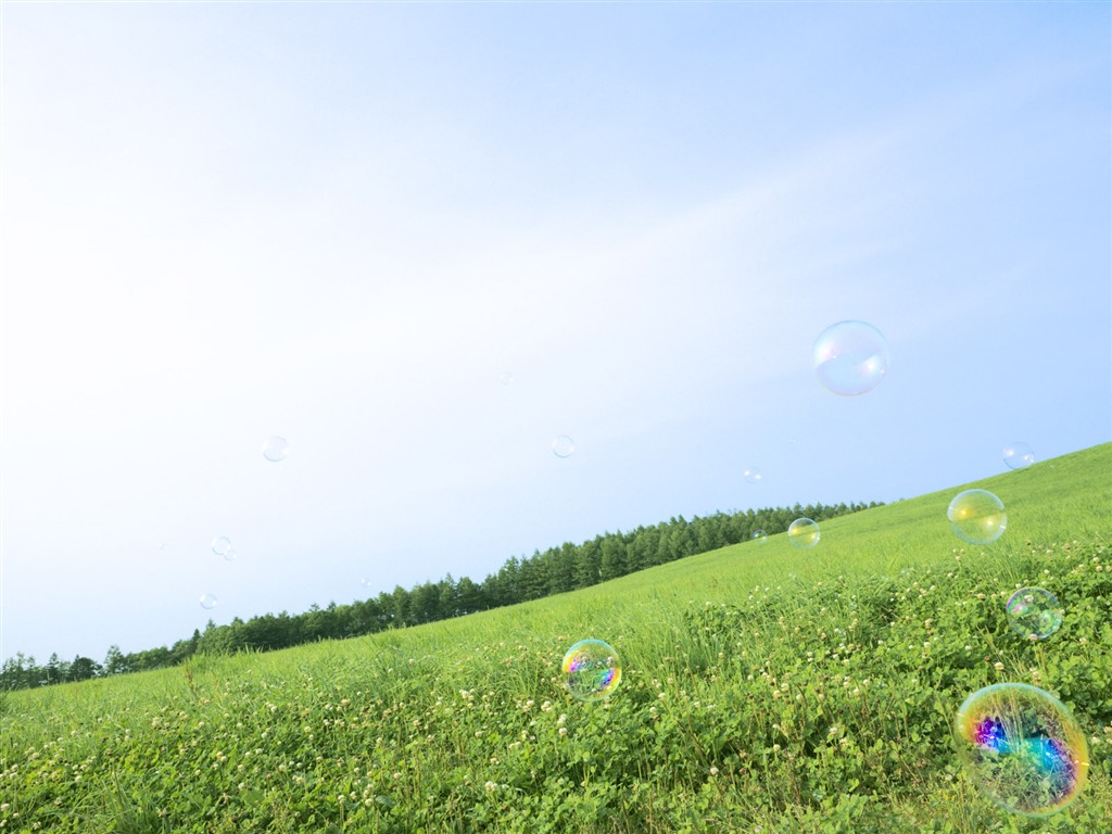 Green Grass wallpaper (1) #9 - 1024x768