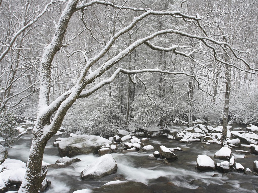 forêt, la neige fond d'écran (3) #12 - 1024x768