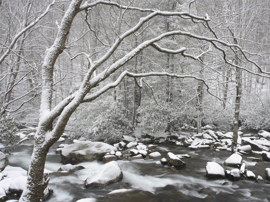 白雪森林(三) #12 - 1024x768