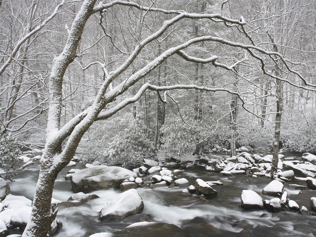 白雪森林(三)12 - 1024x768