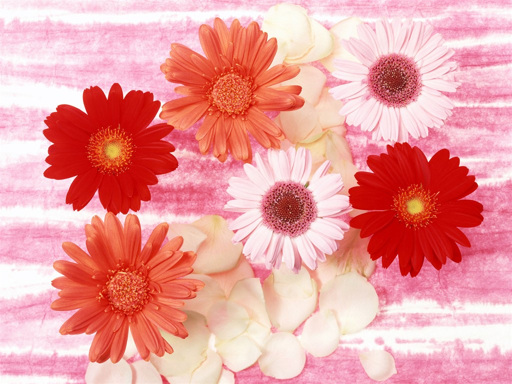 Flower Desktop Wallpaper Selection (2) #36 - 1024x768