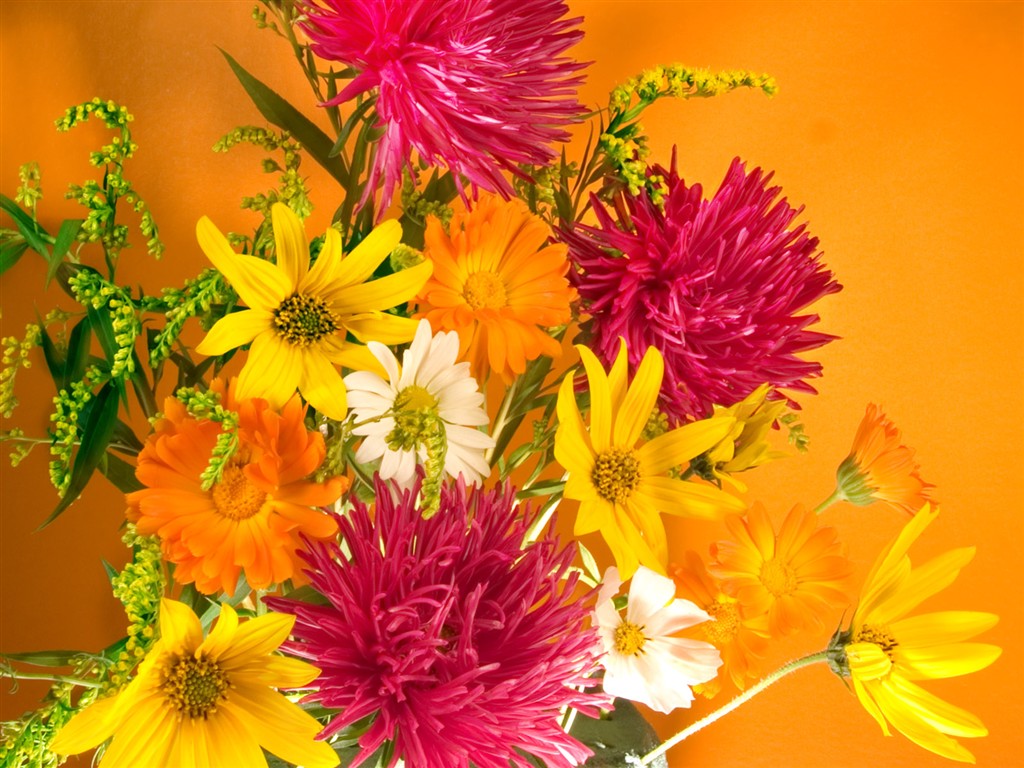 Květiny close-up (2) #18 - 1024x768