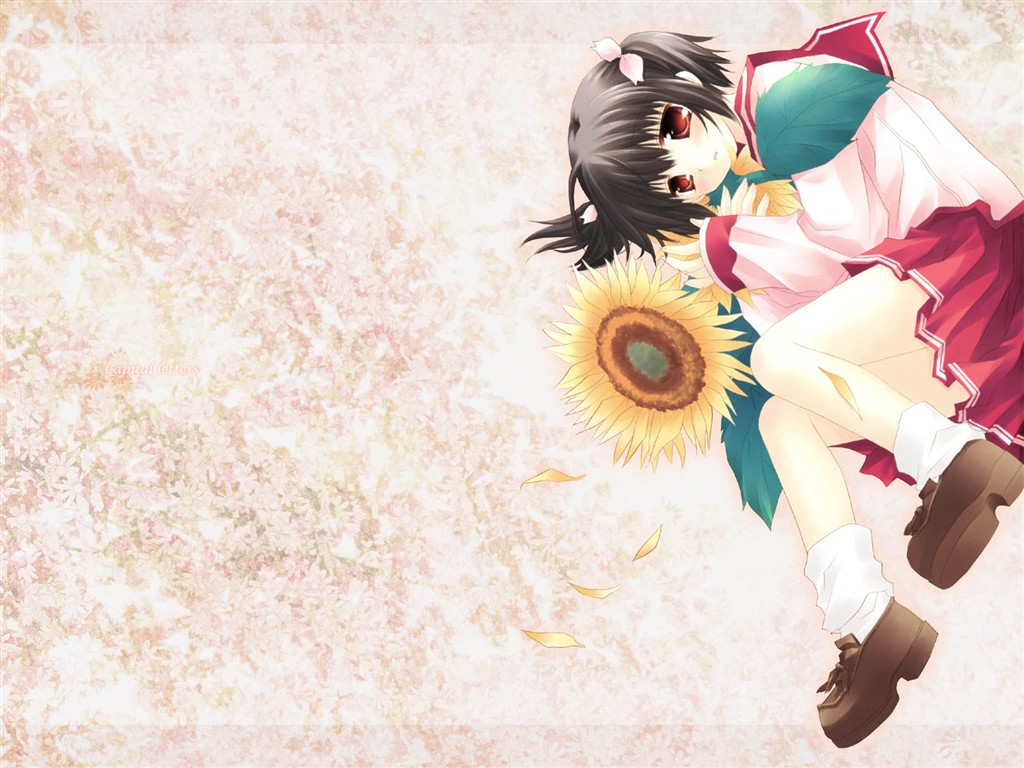 Beautiful Anime Wallpaper #13 - 1024x768