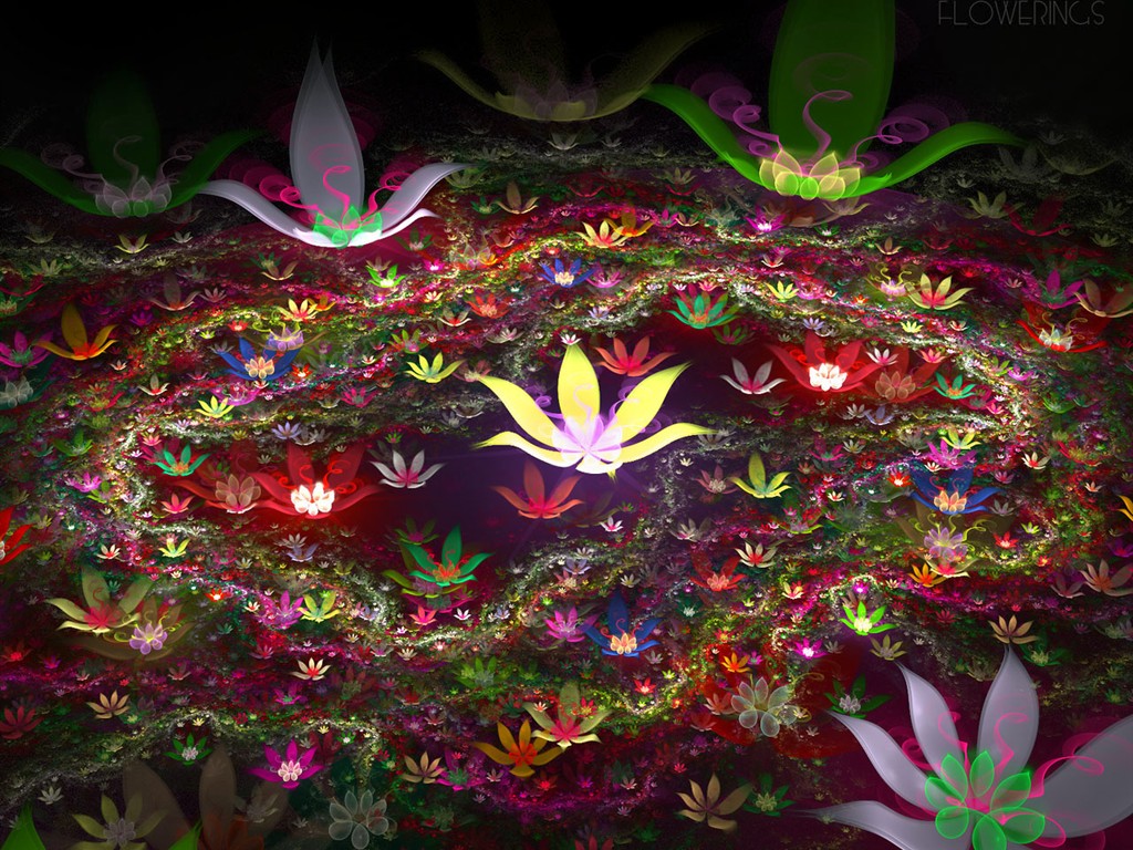 3D夢幻抽象花朵壁紙 #4 - 1024x768