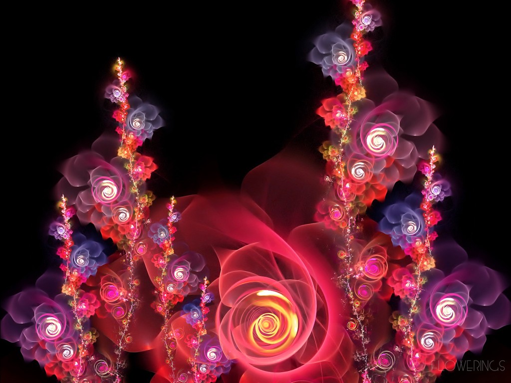 3D夢幻抽象花朵壁紙 #5 - 1024x768
