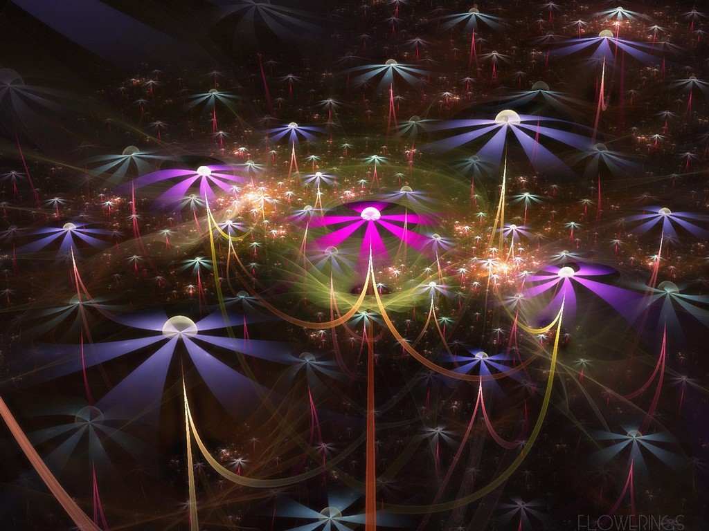 3D夢幻抽象花朵壁紙 #7 - 1024x768