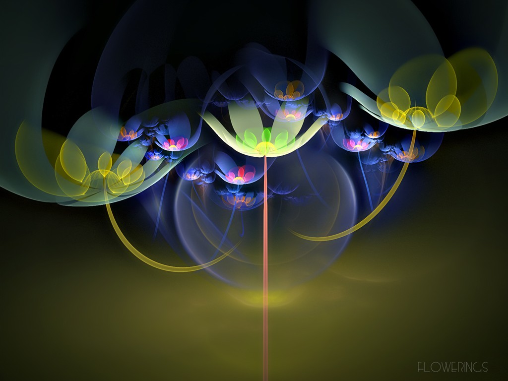 3D夢幻抽象花朵壁紙 #8 - 1024x768