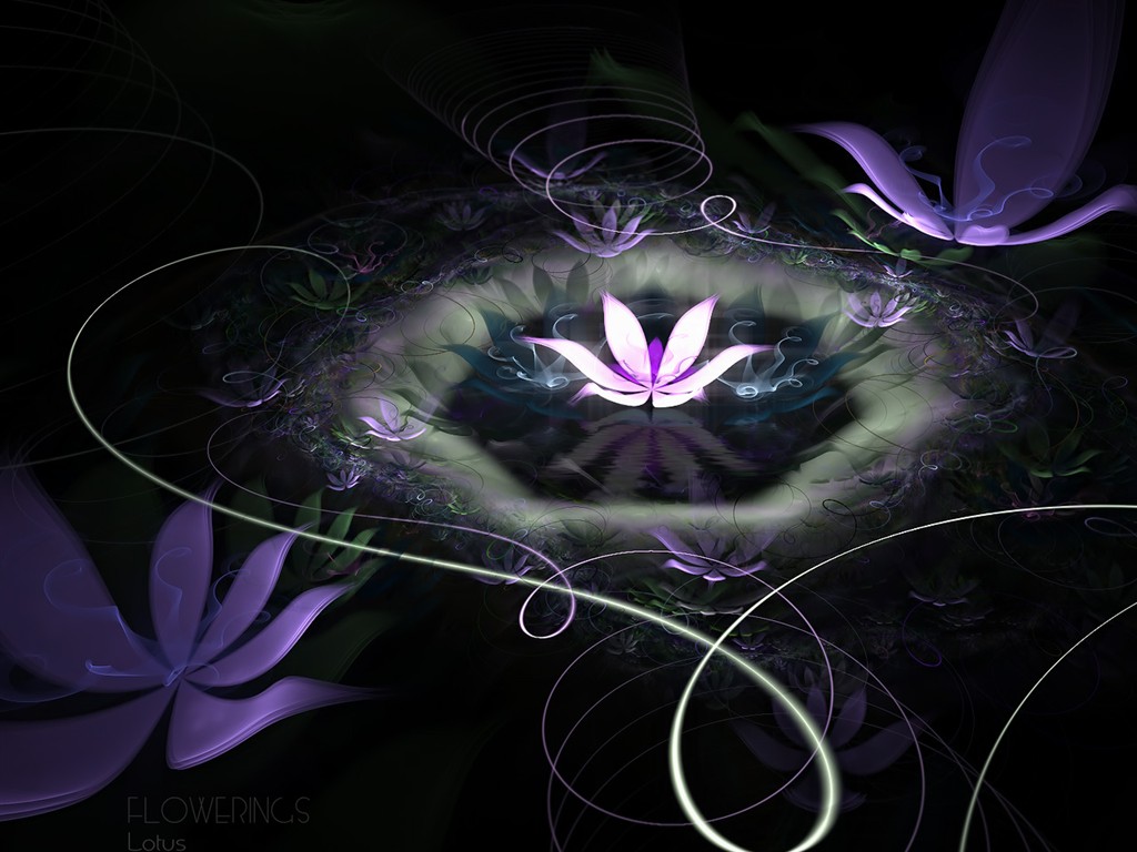3D夢幻抽象花朵壁紙 #10 - 1024x768