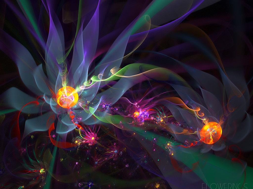 3D夢幻抽象花朵壁紙 #11 - 1024x768