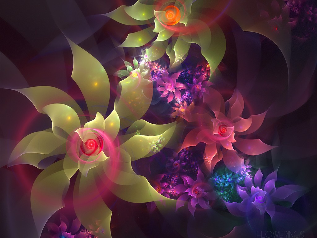3D梦幻抽象花朵壁纸12 - 1024x768