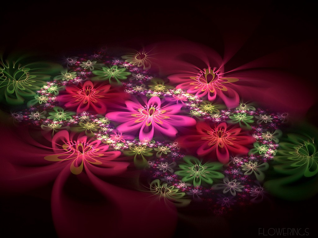 3D梦幻抽象花朵壁纸13 - 1024x768