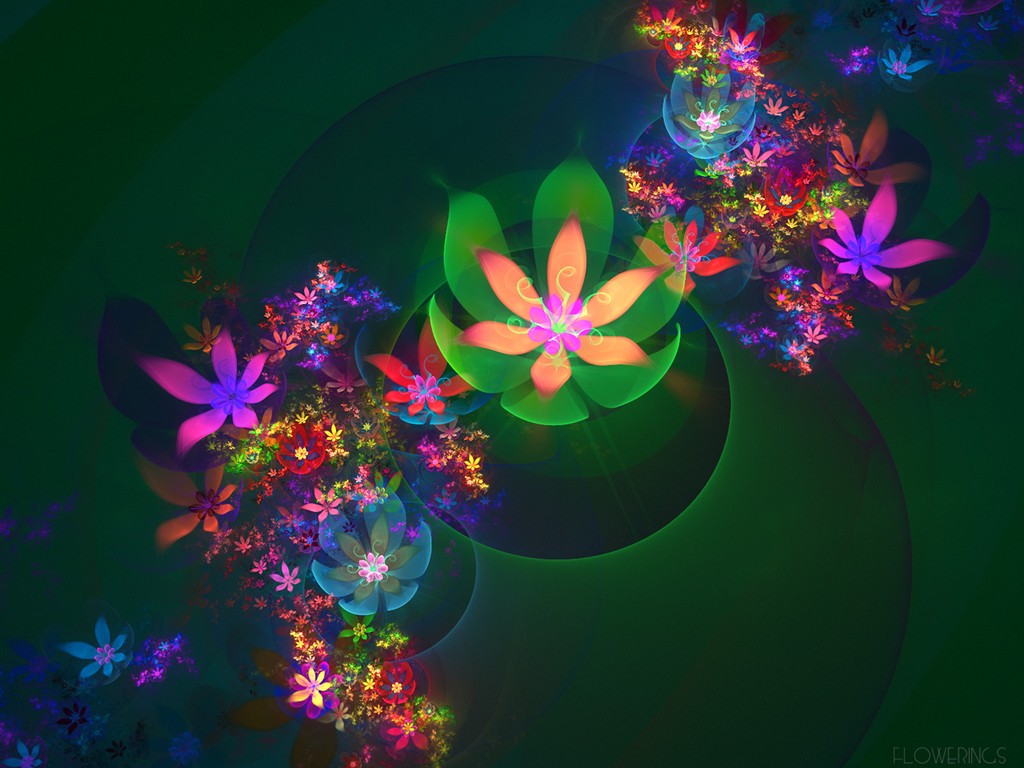 3D梦幻抽象花朵壁纸14 - 1024x768