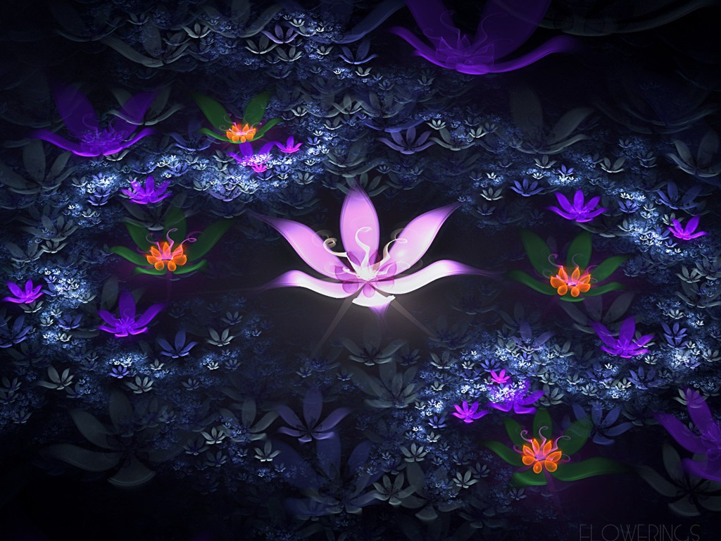 3D梦幻抽象花朵壁纸17 - 1024x768