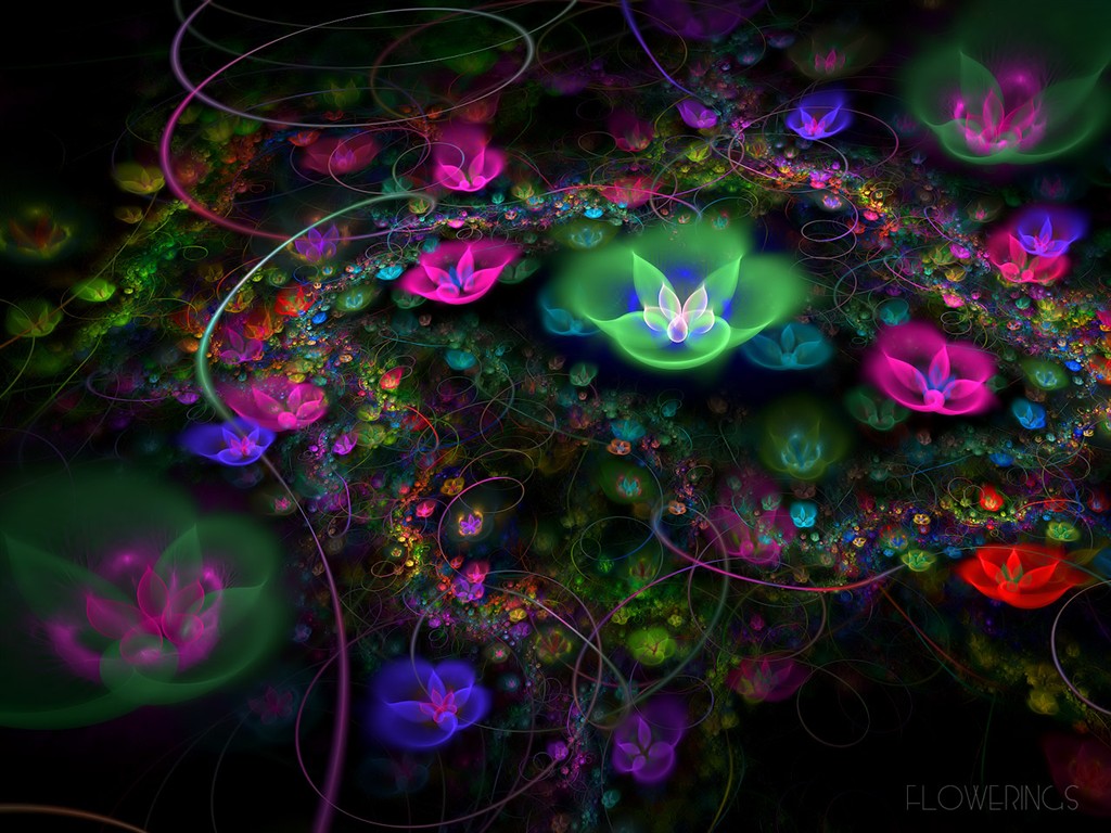 3D夢幻抽象花朵壁紙 #18 - 1024x768