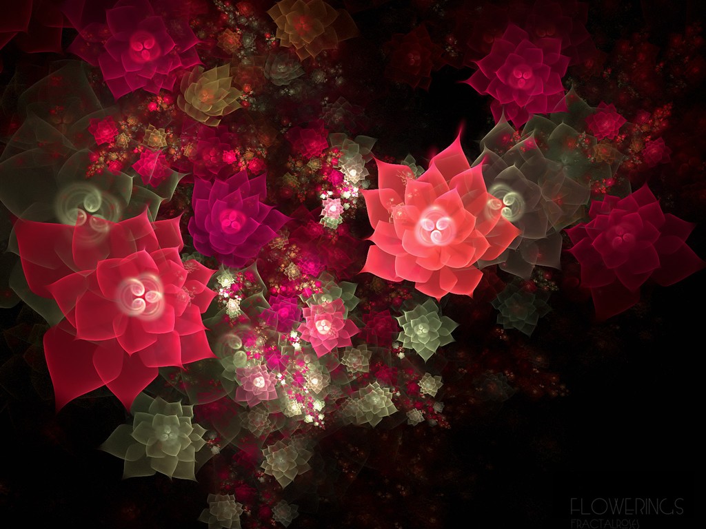 3D梦幻抽象花朵壁纸20 - 1024x768
