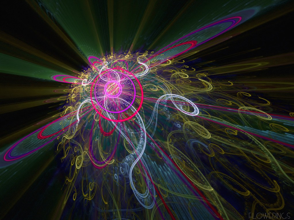 3D夢幻抽象花朵壁紙 #32 - 1024x768