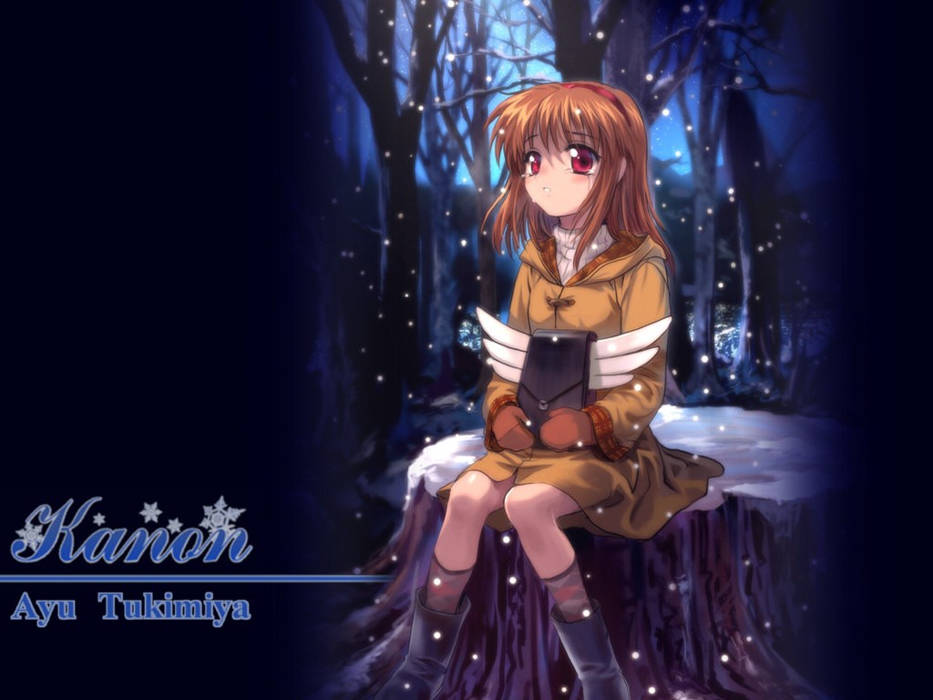 雪之少女壁紙專輯 #1 - 1024x768