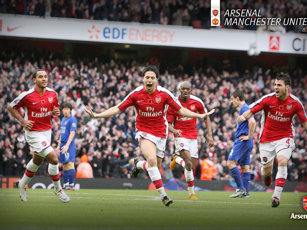 Arsenal wallpaper #21 - 1024x768