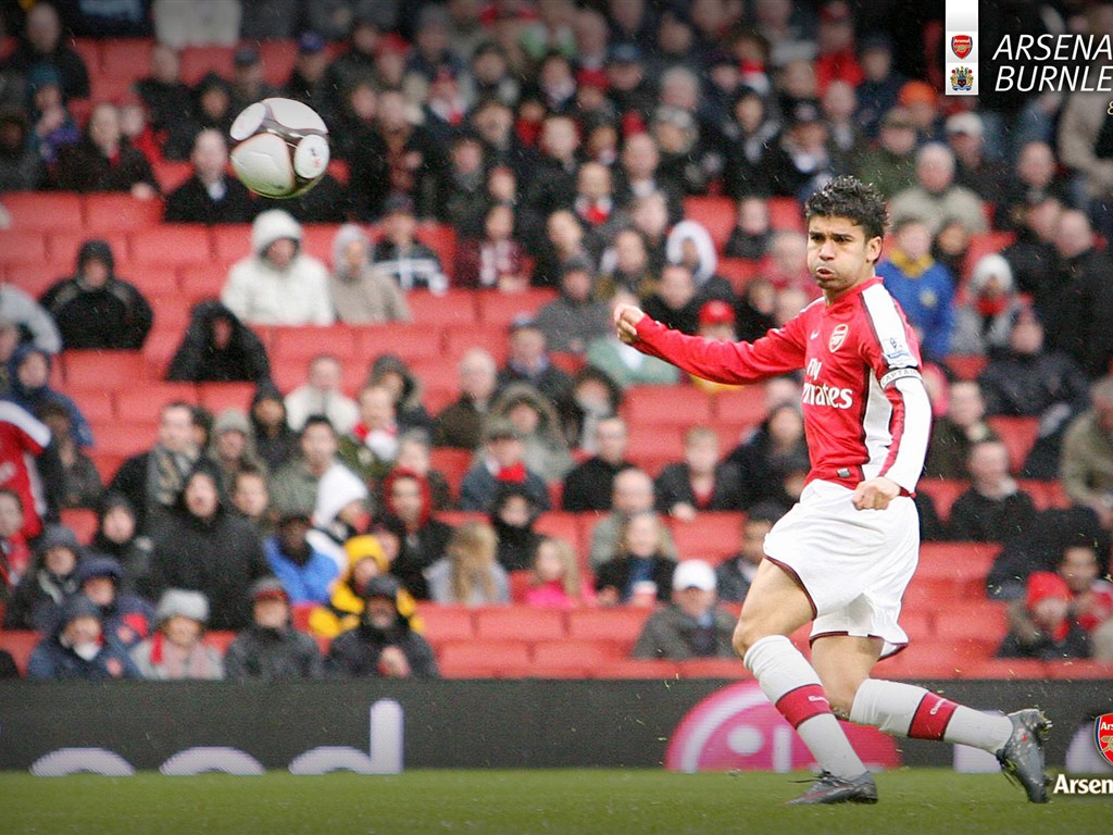 Arsenal阿森納壁紙 #34 - 1024x768