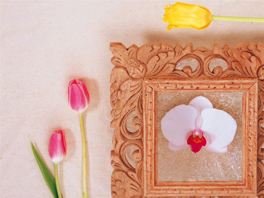 Fond d'écran de fleurs d'intérieur (1) #37 - 1024x768