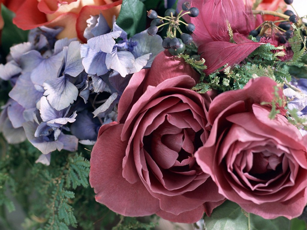 Fond d'écran de fleurs d'intérieur (2) #23 - 1024x768