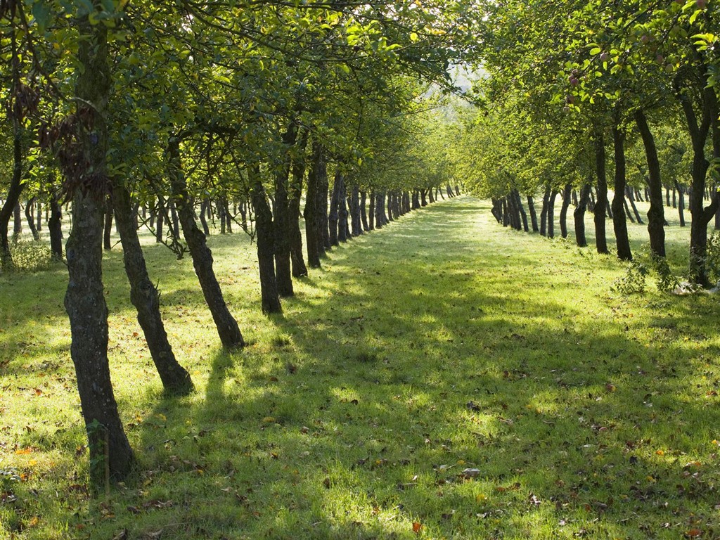 Webshots paysages naturels Fond d'écran #23 - 1024x768