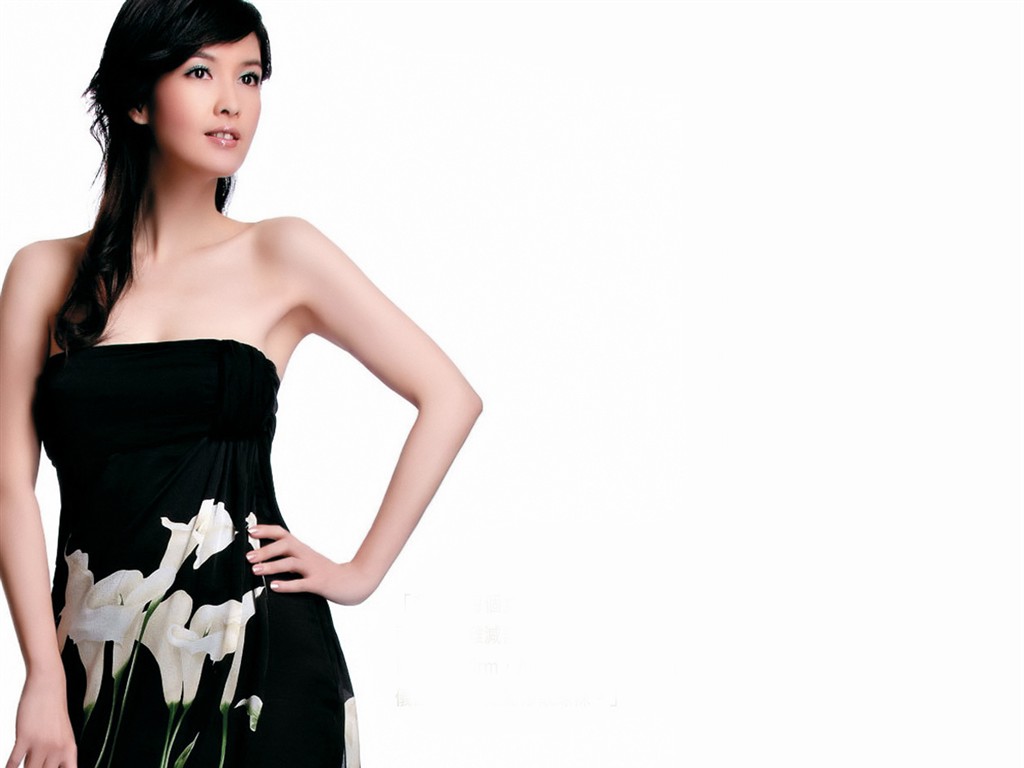 Angel belleza Vivian Chow fondo de pantalla #15 - 1024x768