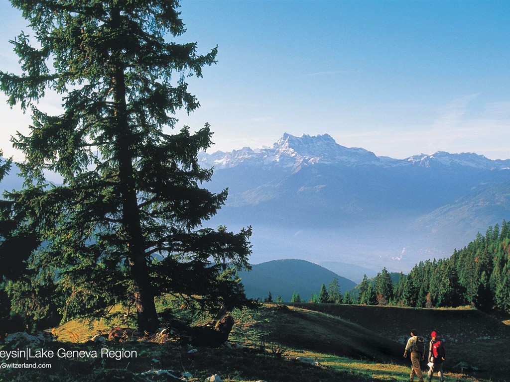Schweiz Tapete Sommertourismus Attraktionen #1 - 1024x768