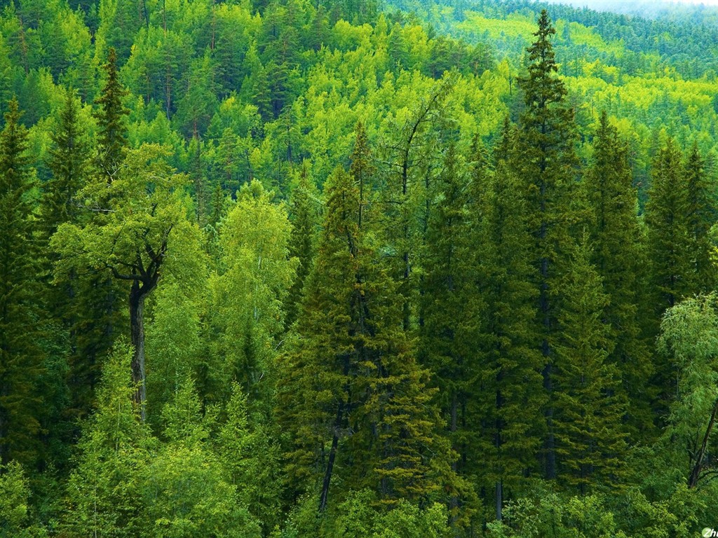 Un beau paysage naturel en Sibérie #15 - 1024x768