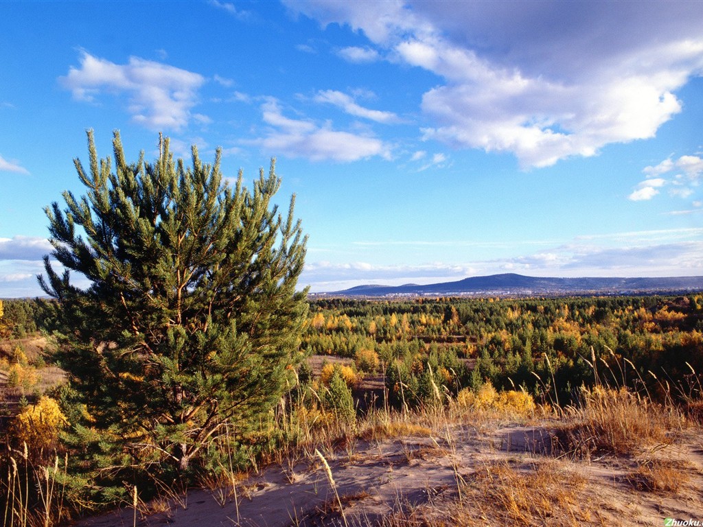 Un beau paysage naturel en Sibérie #17 - 1024x768