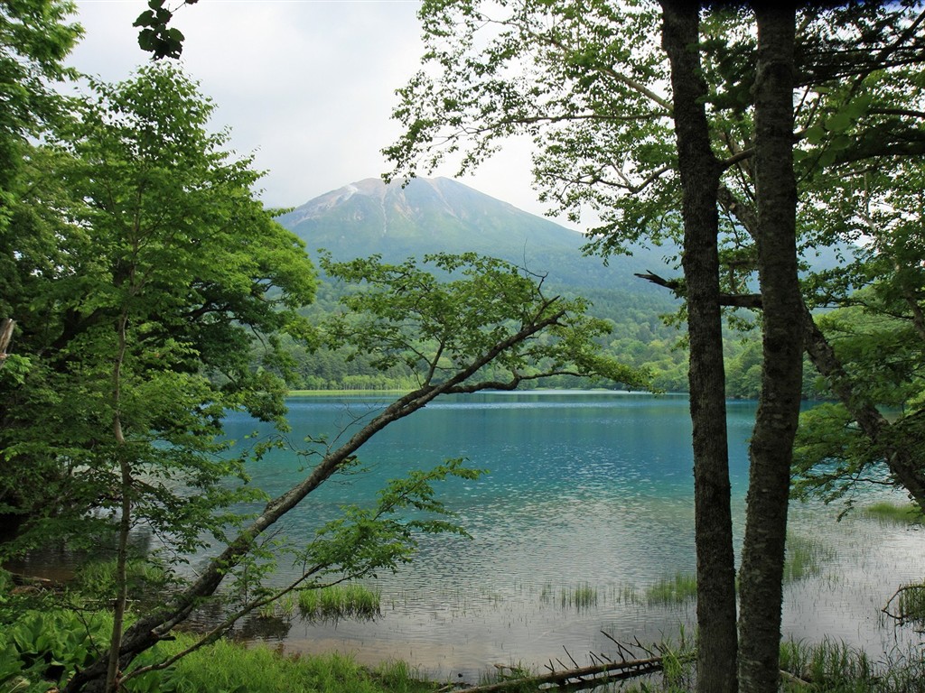 夏日北海道郊外風景 #9 - 1024x768