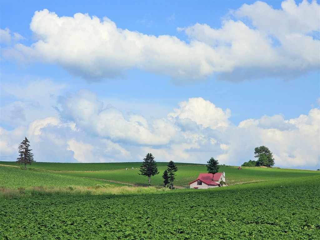 Hokkaido countryside scenery #10 - 1024x768