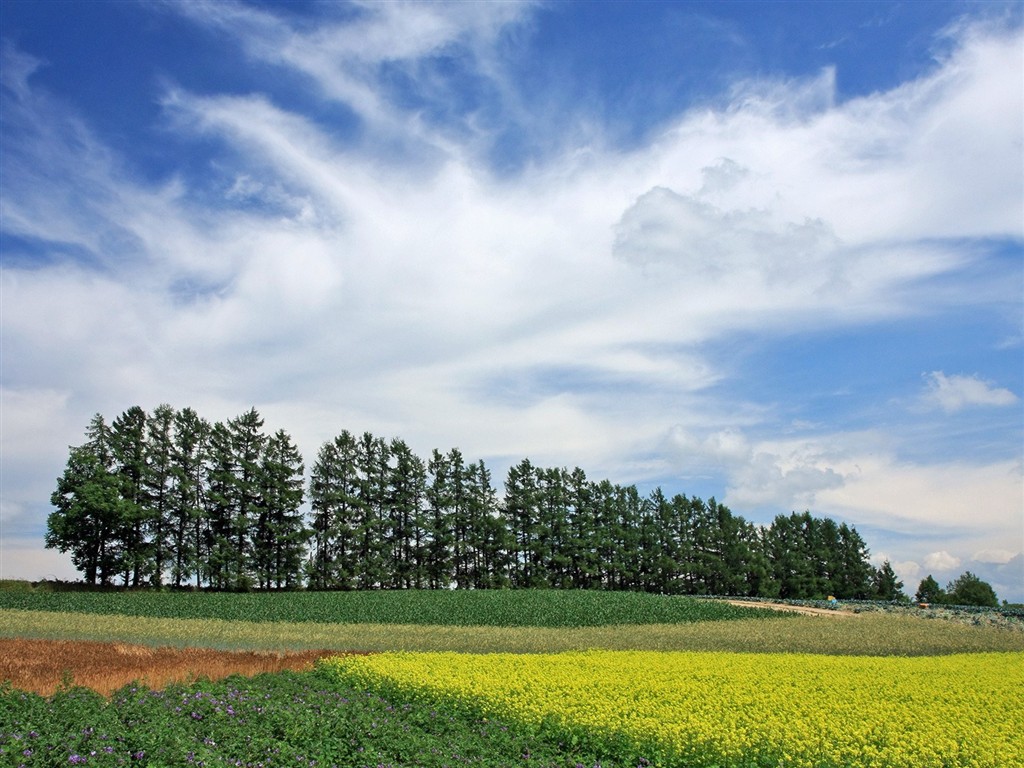 夏日北海道郊外風景 #18 - 1024x768