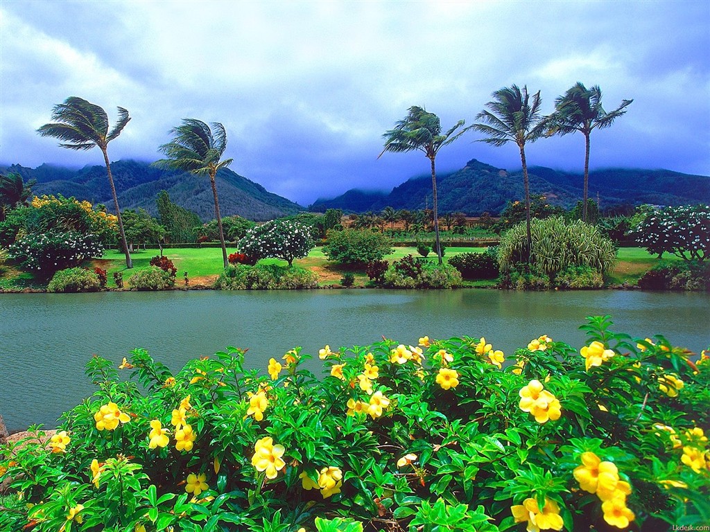 havajské pláži scenérie #1 - 1024x768