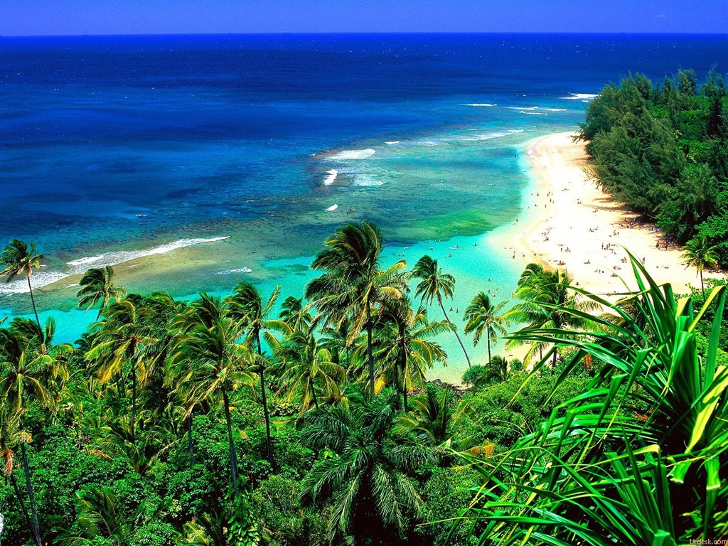 Hawaiianischer Strand Landschaft #16 - 1024x768