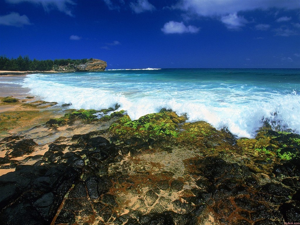 havajské pláži scenérie #19 - 1024x768