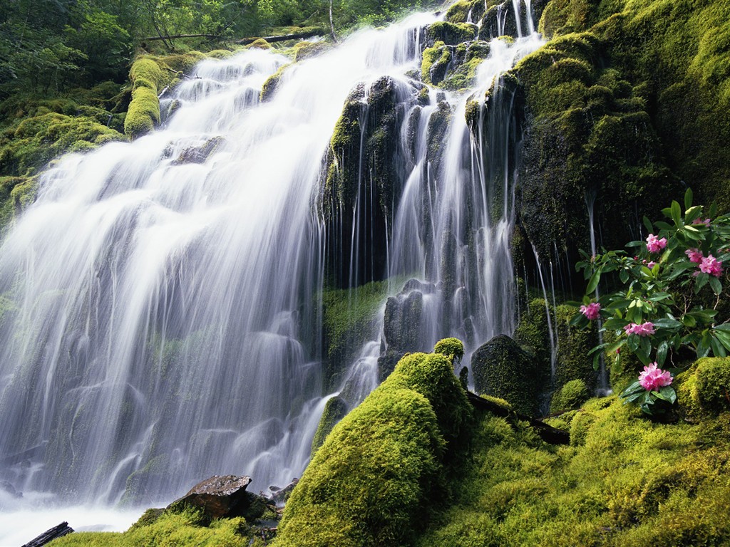 Windows7 系统自带壁纸3 - 1024x768