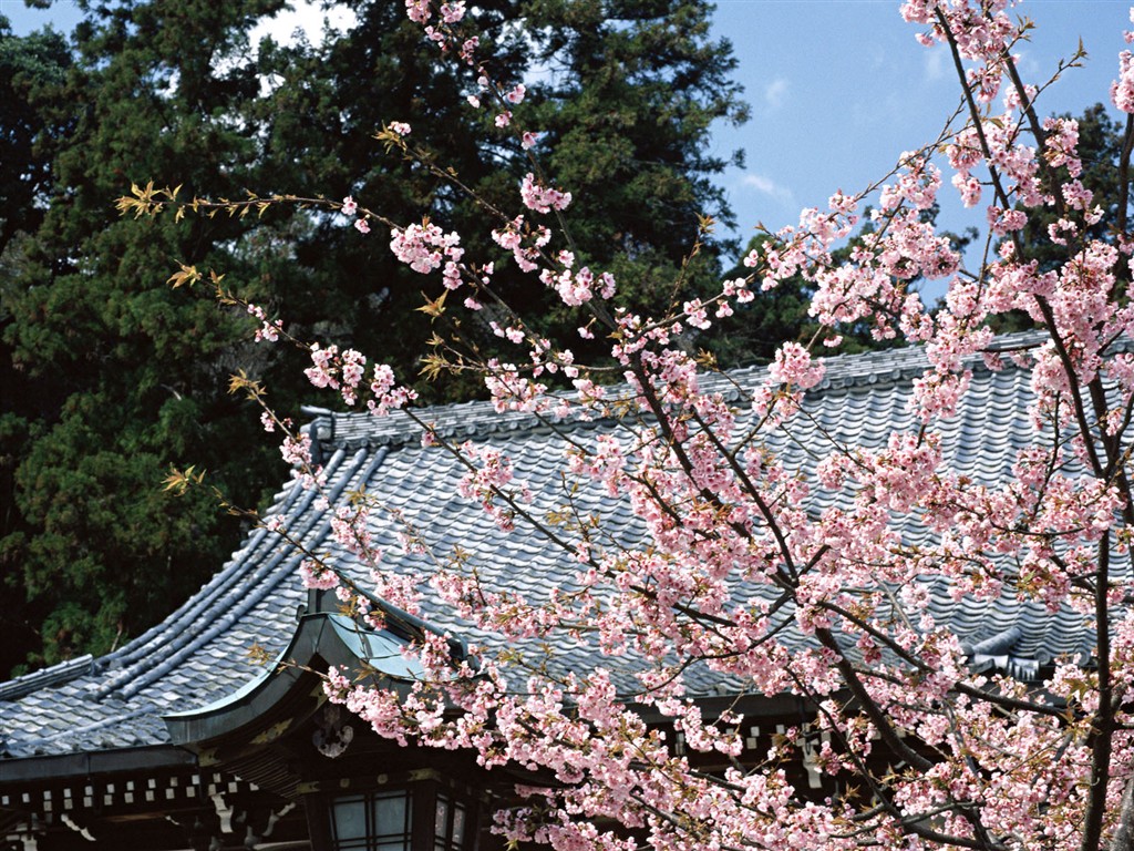 日本京都风景壁纸14 - 1024x768