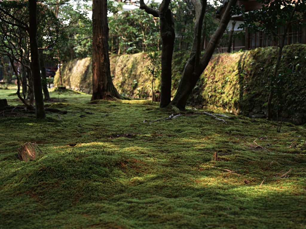 日本京都風景壁紙 #23 - 1024x768