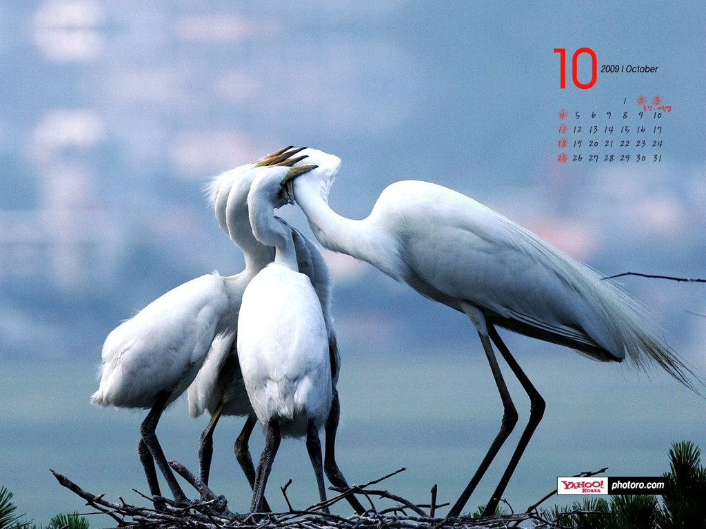 YAHOO Jižní Korea v říjnu Scénické Kalendář #7 - 1024x768
