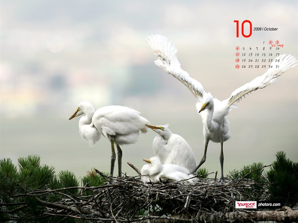 YAHOO South Korea in October Scenic Calendar #8 - 1024x768