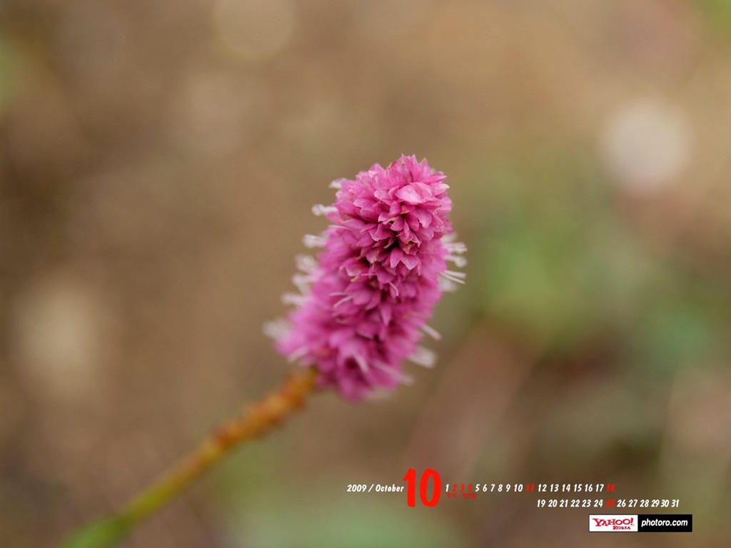 YAHOO Corea del Sur en octubre Calendario Escénicas #14 - 1024x768