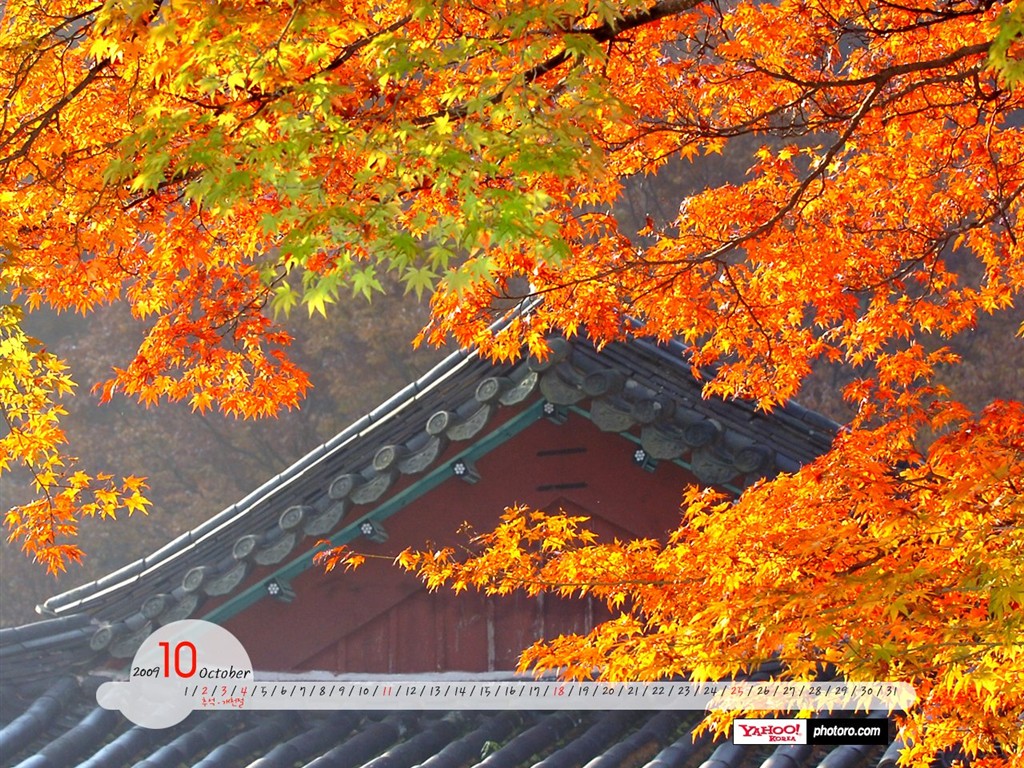 YAHOO Jižní Korea v říjnu Scénické Kalendář #16 - 1024x768