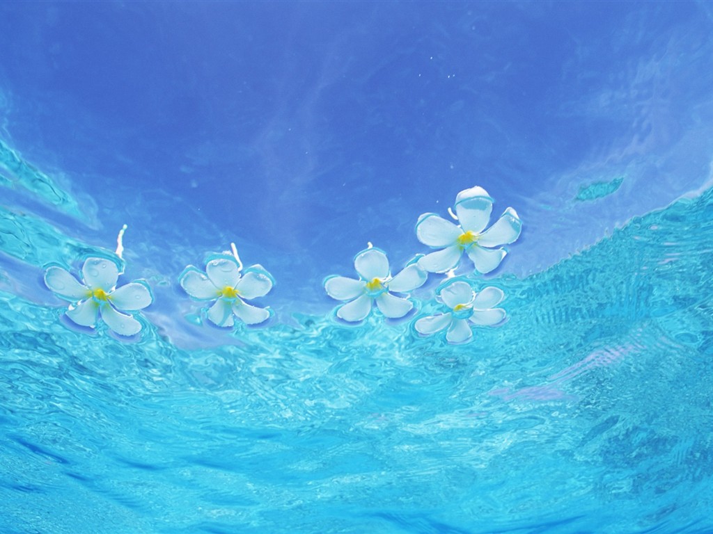 몰디브 물과 푸른 하늘 #11 - 1024x768