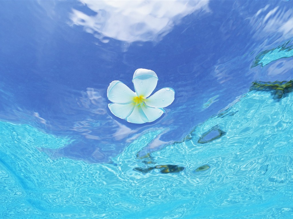 Malediven Wasser und blauer Himmel #12 - 1024x768