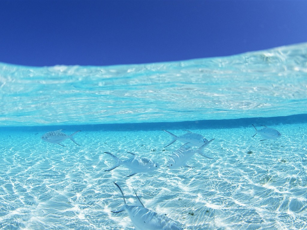 Malediven Wasser und blauer Himmel #23 - 1024x768
