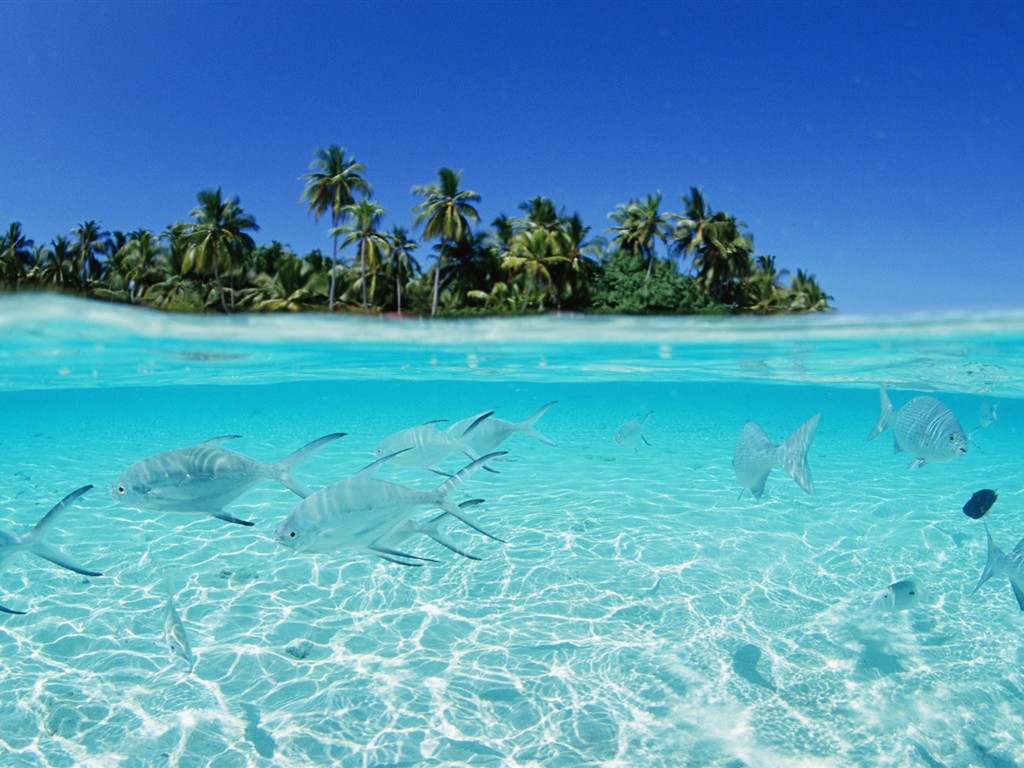 Malediven Wasser und blauer Himmel #24 - 1024x768