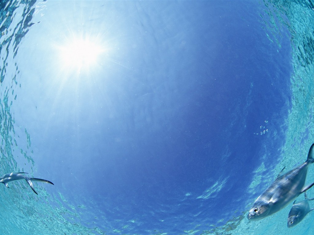 Malediven Wasser und blauer Himmel #28 - 1024x768